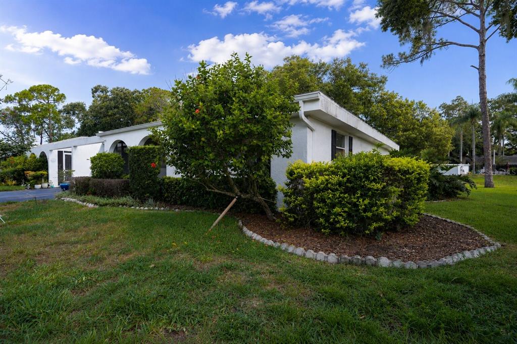 A white single-story house features a landscaped front yard with a large bush and trees — 510 PALMER CIRCLE, PALM HARBOR, FL