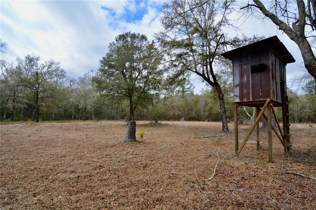A wooden deer stand sits in a dry, open field surrounded by trees — 210 TUCKER SPRINGS ROAD, SOPCHOPPY, FL