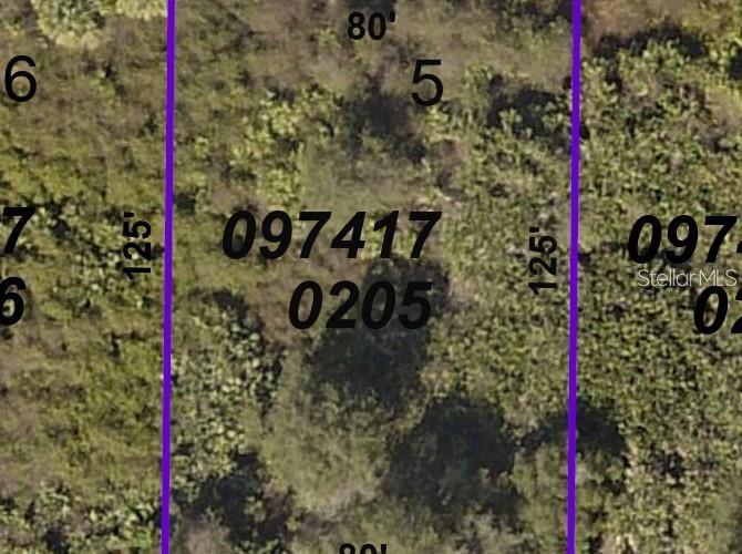 This is an aerial map view of a rectangular plot of land measuring 80 by 125 feet — BESSEMER AVENUE, NORTH PORT, FL