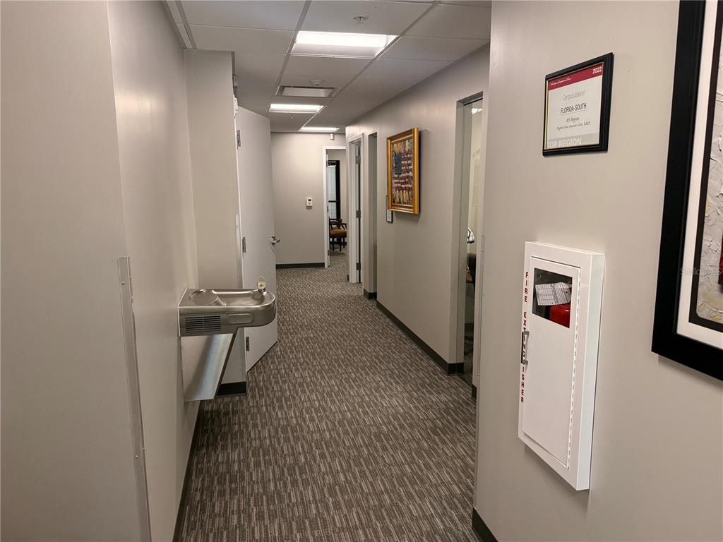 A hallway with gray walls, carpeted flooring, a water fountain, and a fire extinguisher cabinet — 30522 US HIGHWAY 19 N UNIT 105, PALM HARBOR, FL