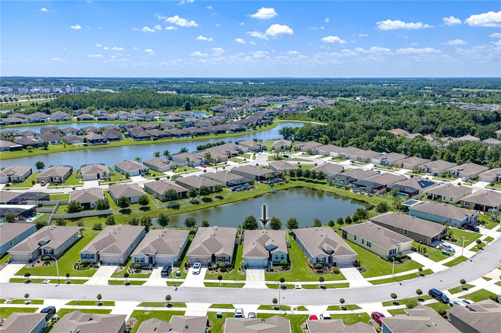 An aerial view shows a suburban neighborhood with houses surrounding a central pond — 31785 TANSY BEND, WESLEY CHAPEL, FL
