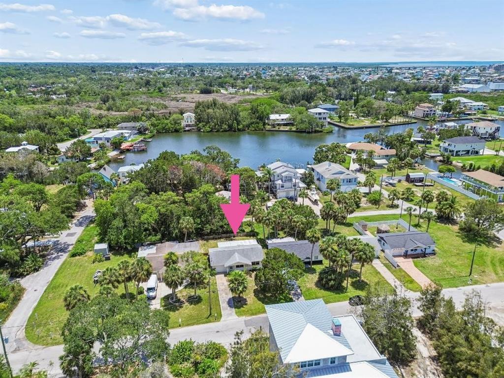 A single-story house with a concrete driveway, a garage, and a large palm tree — 6826 DRIFTWOOD DRIVE, HUDSON, FL