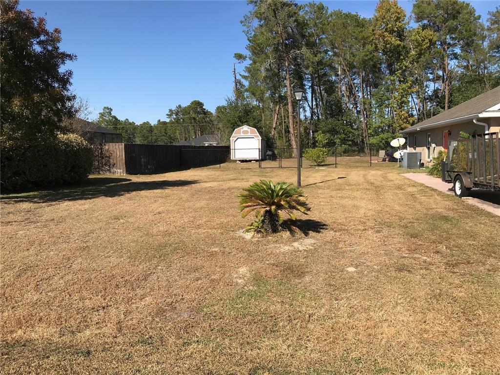 A large, dry grassy backyard features a small shed, a palm plant, and a fence — 4195 SW 114TH STREET, OCALA, FL