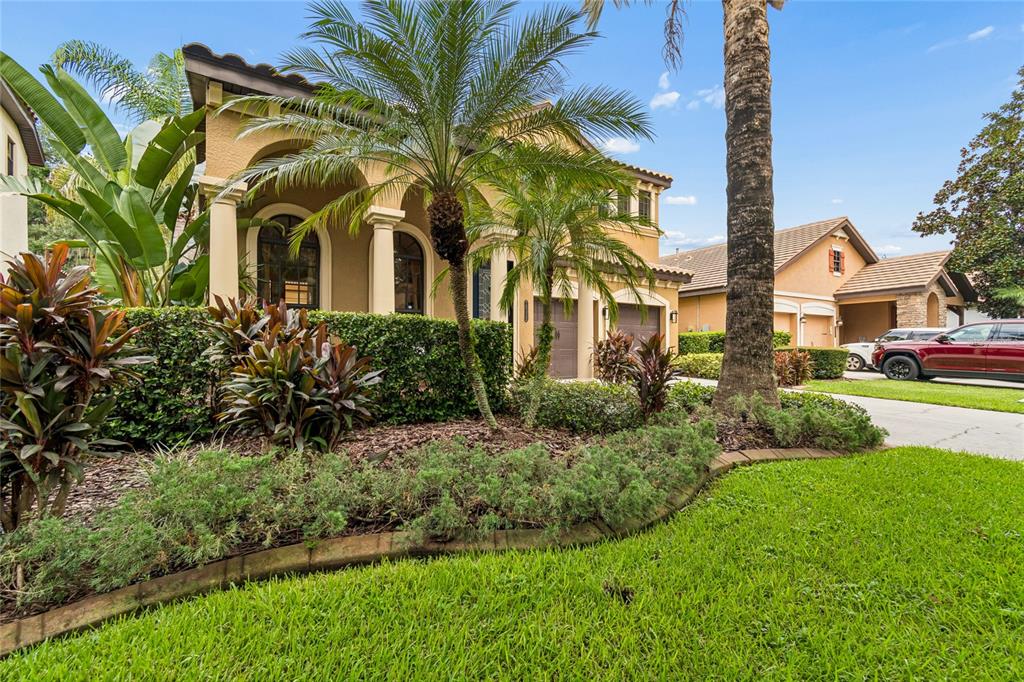 A two-story stucco house with a palm tree, arched entryway, and a red car parked outside — 20338 CHESTNUT GROVE DRIVE, TAMPA, FL