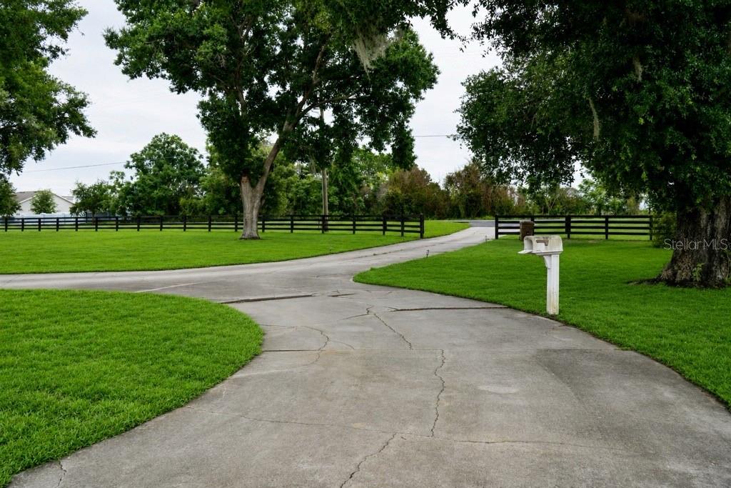 A concrete driveway leads toward a black fence on a grassy lot with large trees — 37180 COUNTY ROAD 452, GRAND ISLAND, FL