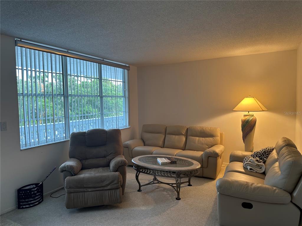A living room features beige carpet, two leather sofas, a recliner, and a glass-topped coffee table — 4720 LOCUST STREET NE UNIT 314, ST PETERSBURG, FL
