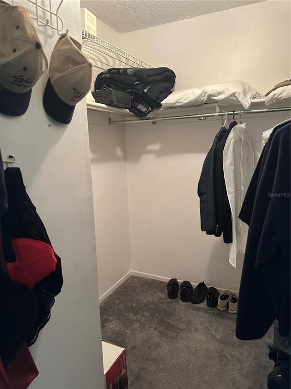 A walk-in closet features a wire shelf, hanging clothes, and a gray carpeted floor — 4720 LOCUST STREET NE UNIT 314, ST PETERSBURG, FL