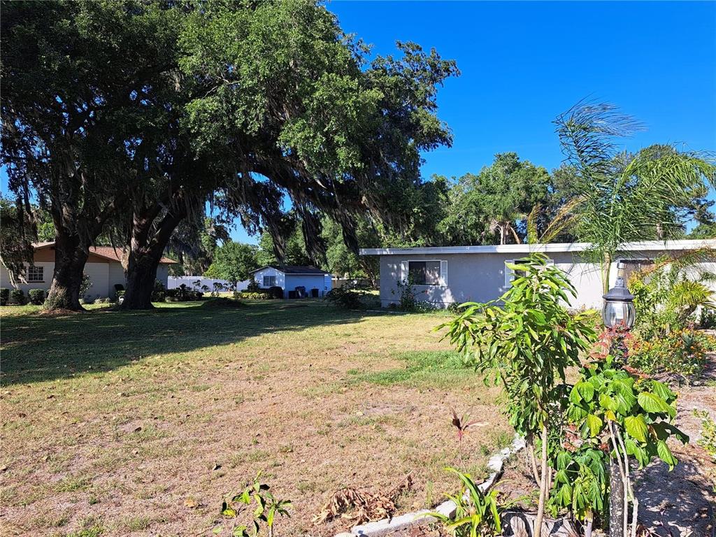 A grassy yard features a large oak tree, a small shed, and a gray house — 2814 N MARYLAND AVENUE, PLANT CITY, FL