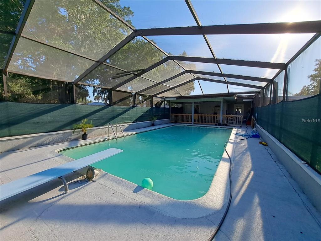A rectangular swimming pool with a diving board is enclosed by a screened-in lanai — 2814 N MARYLAND AVENUE, PLANT CITY, FL