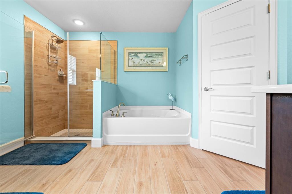 A bathroom features a walk-in shower with wood-look tile, a soaking tub, and light blue walls — 8 DAHLIA CIRCLE S, HOMOSASSA, FL