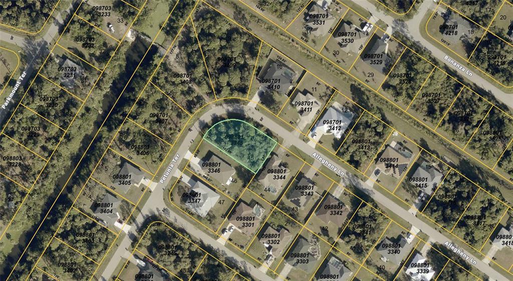 This is an aerial map showing residential lots and streets in a suburban neighborhood — PETUNIA TERRACE, NORTH PORT, FL