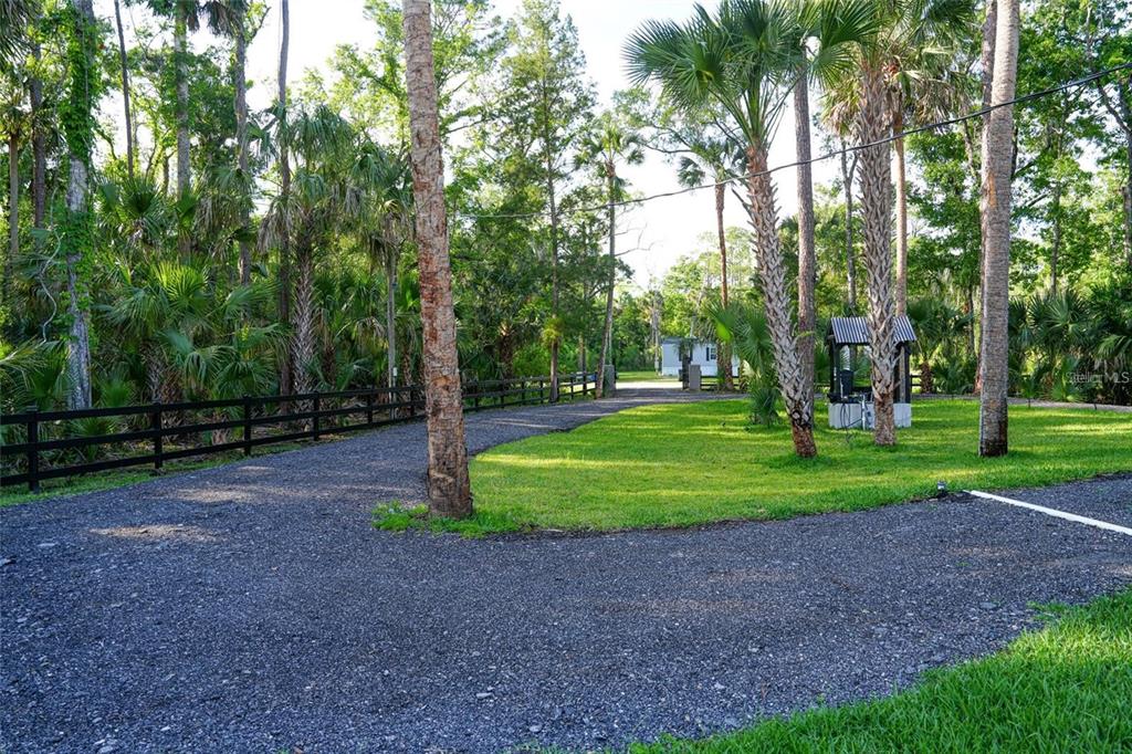 A gravel driveway leads through a wooded lot toward a house in the distance — 6381 CHERRY LANE, BUNNELL, FL