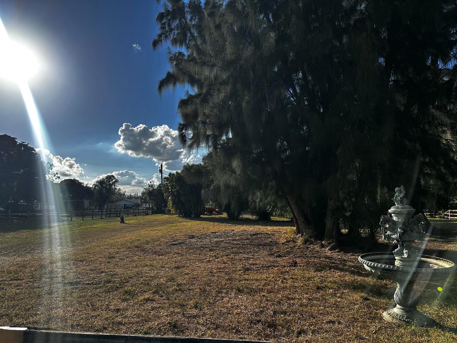 A sunny outdoor yard features a large tree, a decorative fountain, and a wooden fence — 4332 145th Avenue N, FL 33470, FL