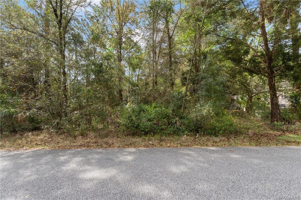 A paved road runs in front of a densely wooded, undeveloped residential lot — 7636 W SUNBURST LANE, HOMOSASSA, FL