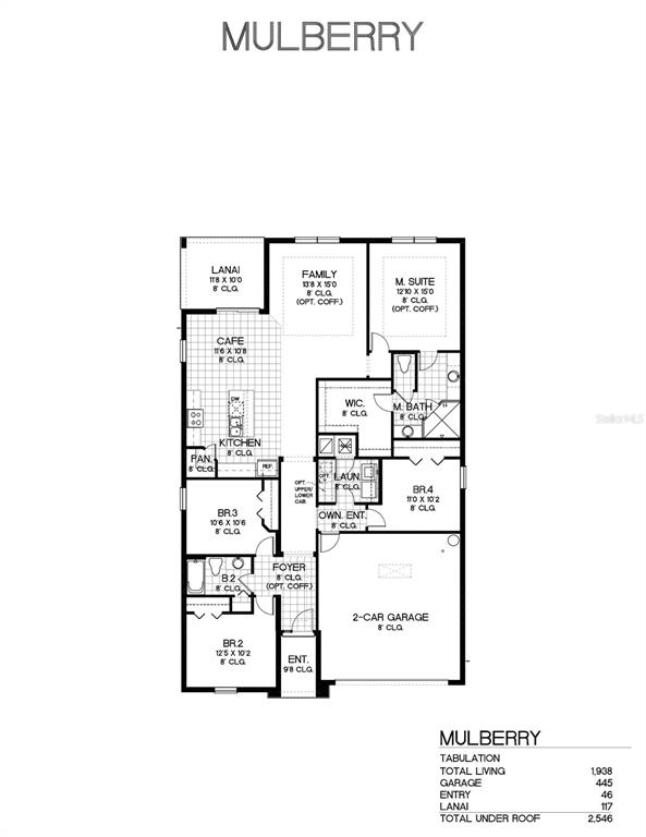 This is a floor plan for a single-story house model named Mulberry — 6217 SANDERS GROVE CIRCLE, OKAHUMPKA, FL