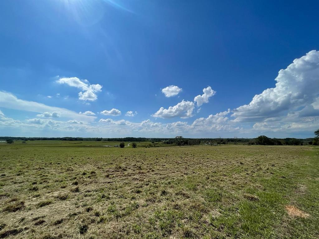 A wide, grassy field stretches toward a distant tree line under a bright blue sky — Lot 2 MERCADO COURT, CLERMONT, FL