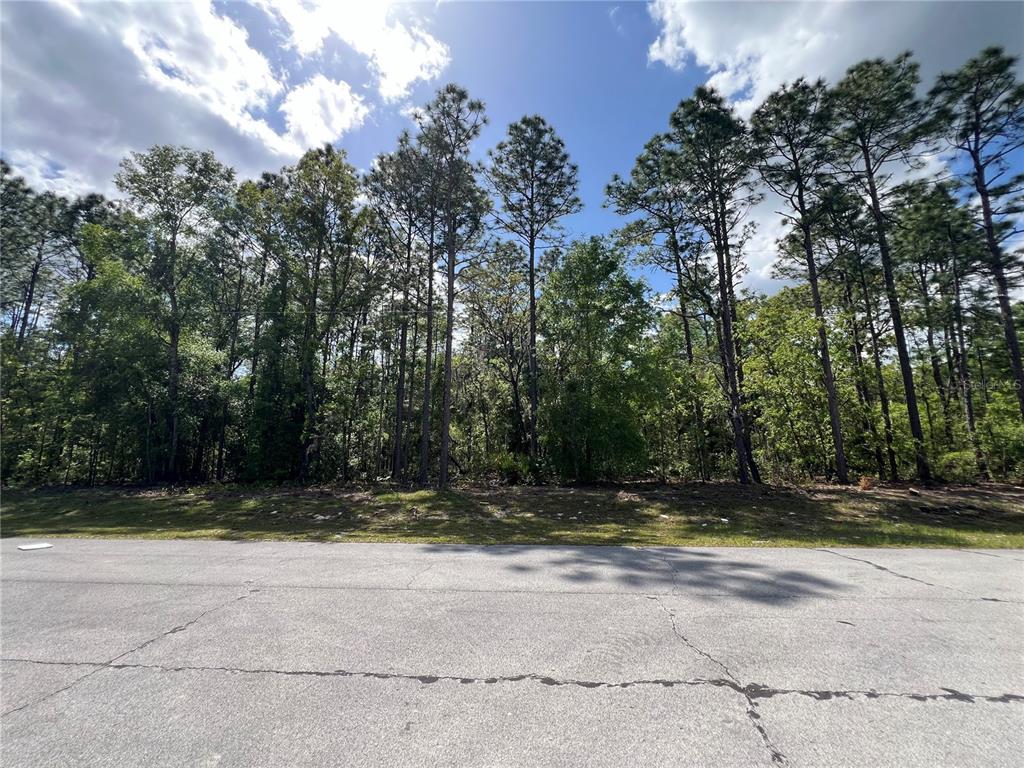 SW 89 CIRCLE, OCALA, FL — photo 2 of 10