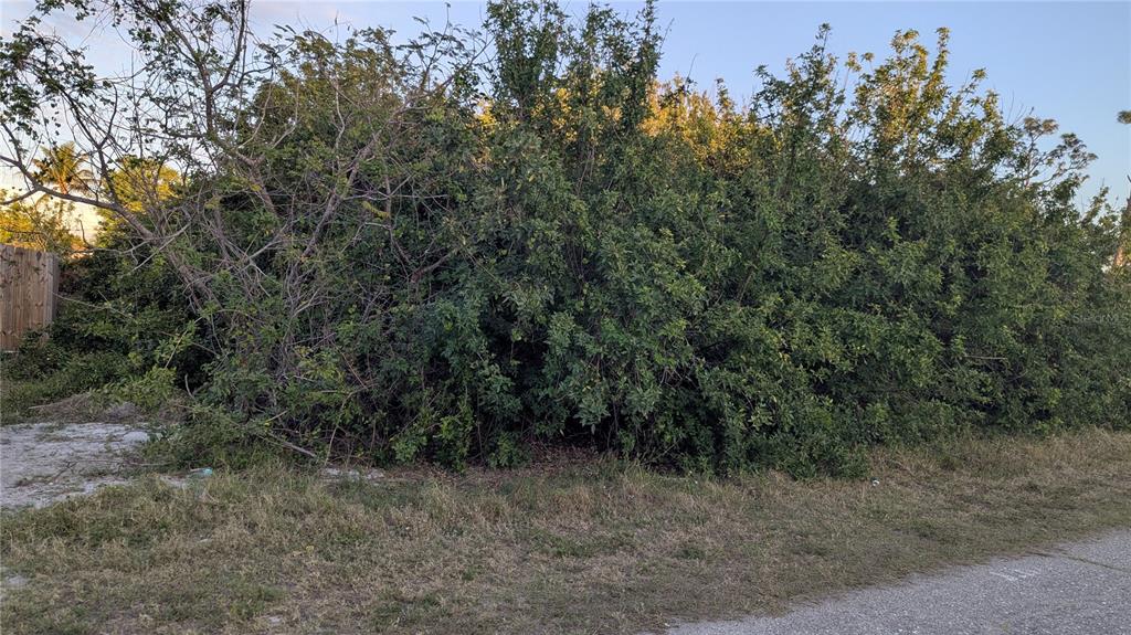 A dense thicket of green shrubs and trees grows along the edge of a road — 4026 MCINTIRE STREET, PORT CHARLOTTE, FL