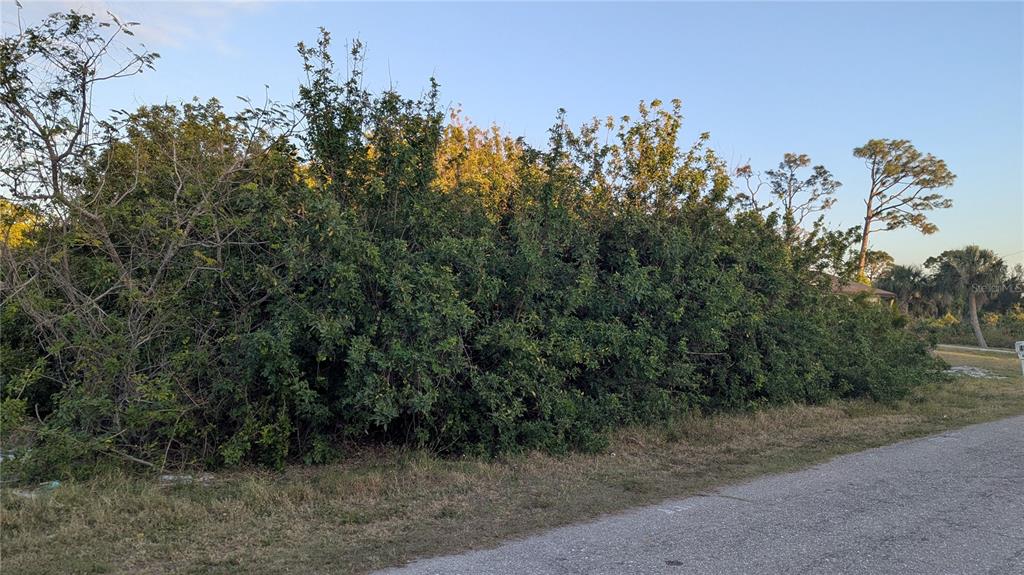 A dense thicket of green trees and shrubs borders a paved road — 4026 MCINTIRE STREET, PORT CHARLOTTE, FL