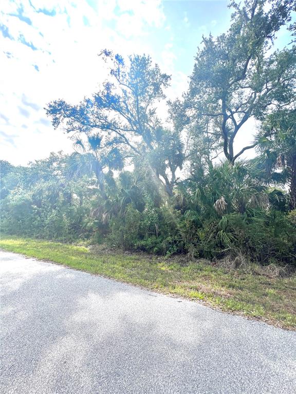 A paved road runs alongside a wooded area with tall trees and dense palm vegetation — 1419 LACE TERRACE, PORT CHARLOTTE, FL