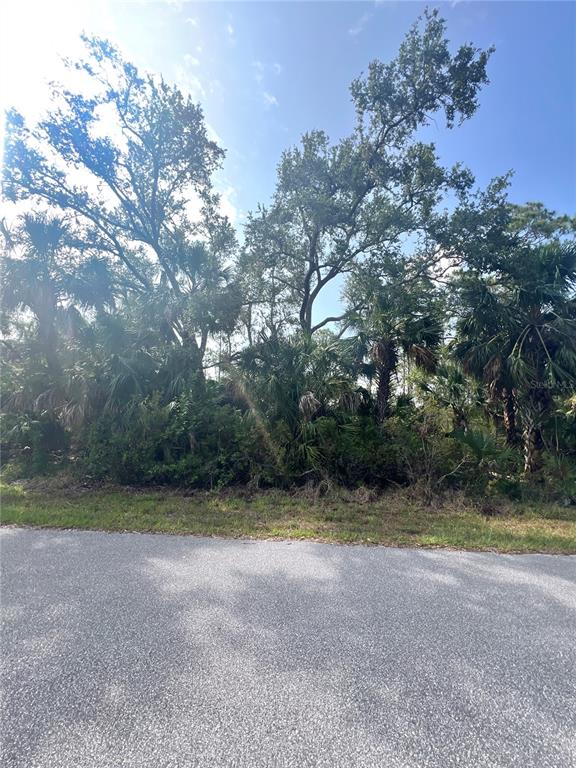 A paved road runs in front of a wooded lot with tall trees and palms — 1419 LACE TERRACE, PORT CHARLOTTE, FL