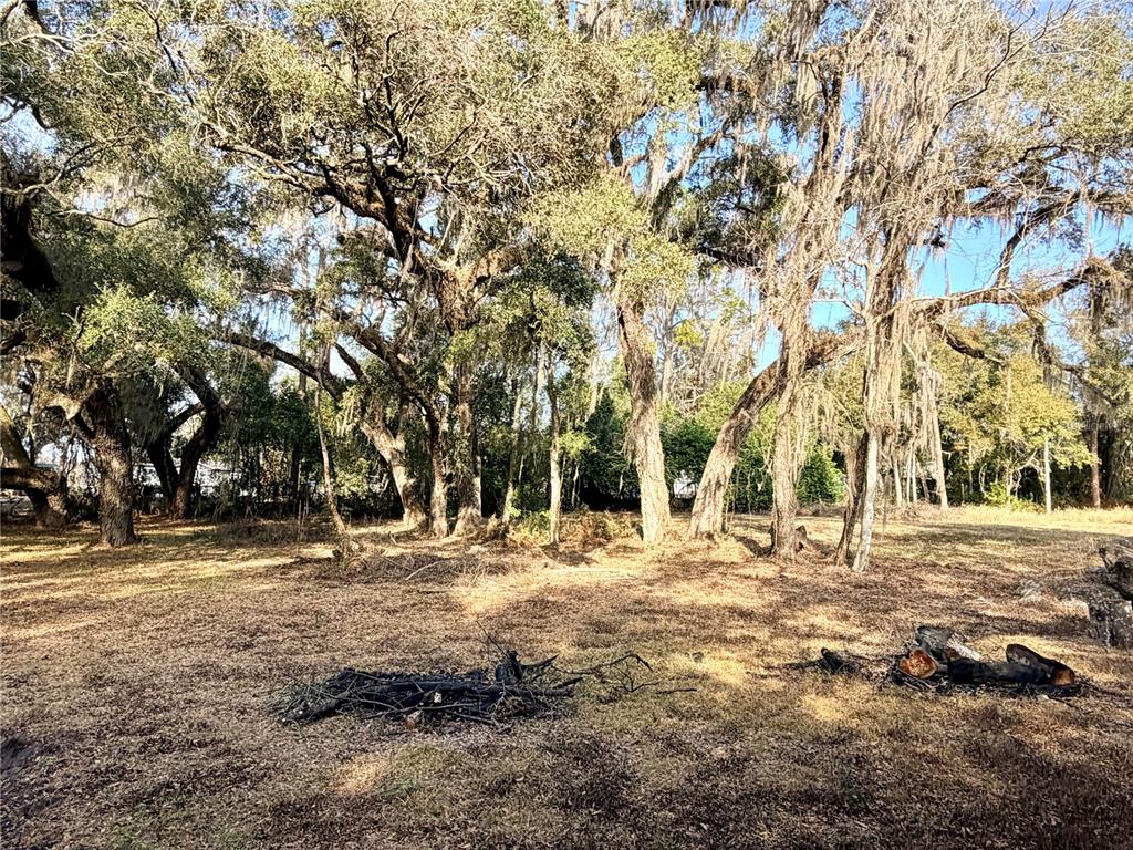 A grassy lot features several large, mature oak trees draped with Spanish moss — 5666 S FLORIDA AVENUE, FLORAL CITY, FL