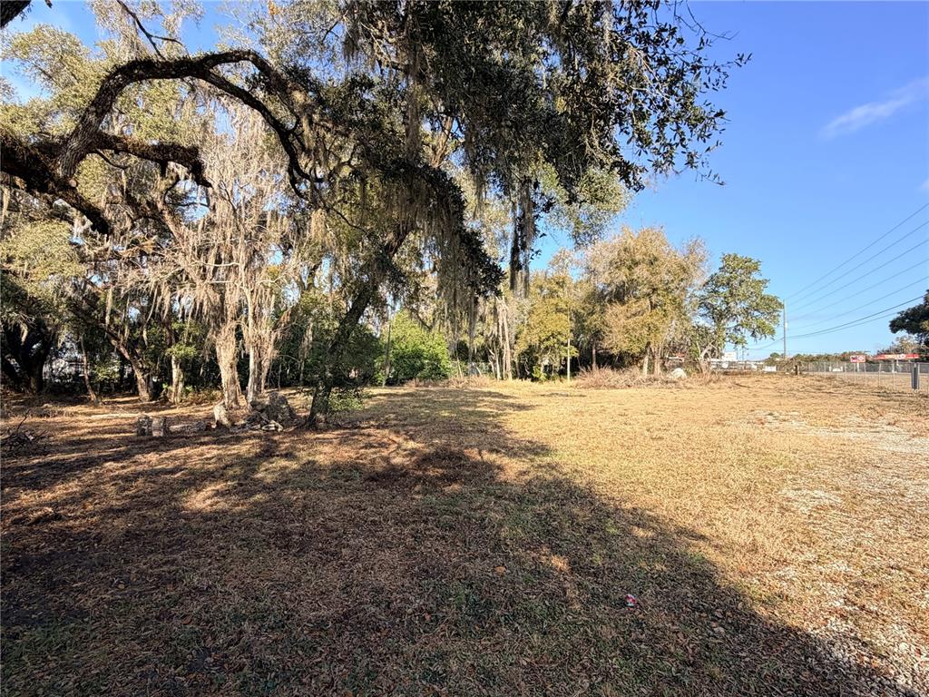 A grassy, vacant lot features large, moss-draped oak trees under a clear blue sky — 5666 S FLORIDA AVENUE, FLORAL CITY, FL