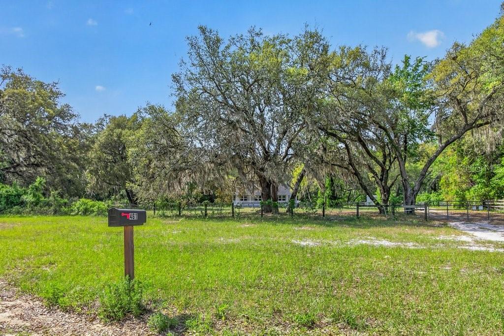 A grassy lot features a mailbox in the foreground and large oak trees behind fencing — 461 OLD STARKE ROAD, PALATKA, FL