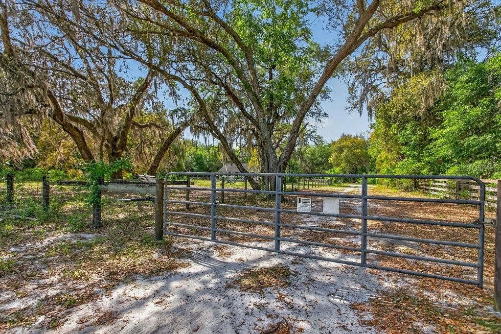 A metal gate opens to a sandy driveway shaded by large, moss-draped oak trees — 461 OLD STARKE ROAD, PALATKA, FL