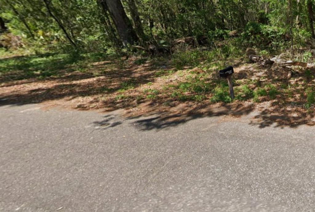 A mailbox stands on the edge of a paved road next to a wooded lot — GUAVA TERRACE, OCKLAWAHA, FL