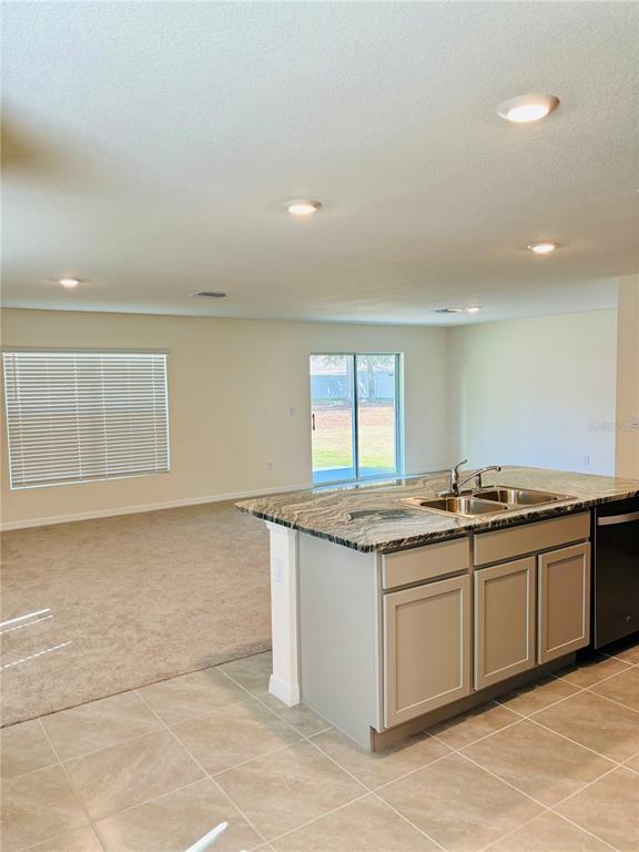 A kitchen island with granite countertops overlooks a carpeted living area with sliding glass doors — 13649 WHISKEY DAISY DRIVE, DADE CITY, FL