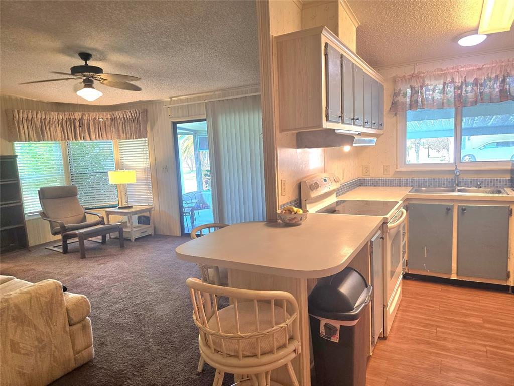 An open-concept kitchen with light wood cabinets overlooks a carpeted living area with a ceiling fan — 379 TOWNBRIDGE DRIVE, HAINES CITY, FL
