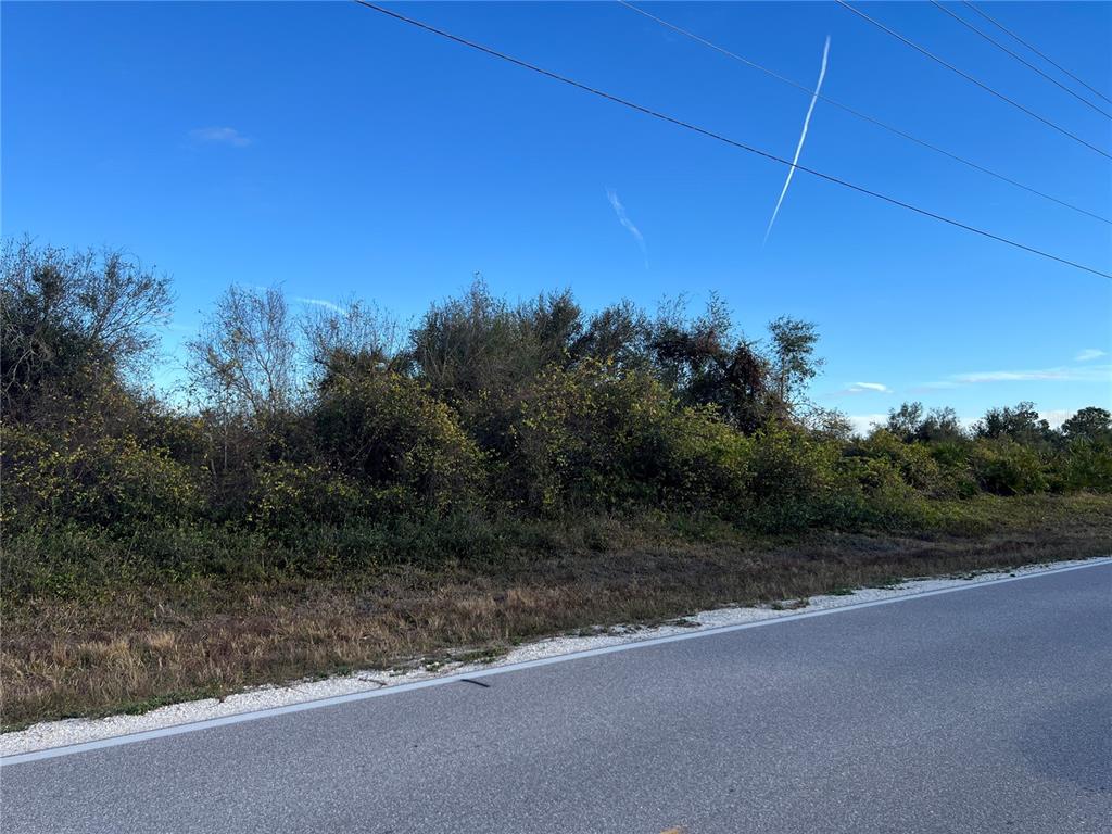 A paved road runs alongside a dense, overgrown lot with trees and shrubs under a sky — 1434 SULSTONE DRIVE, PUNTA GORDA, FL