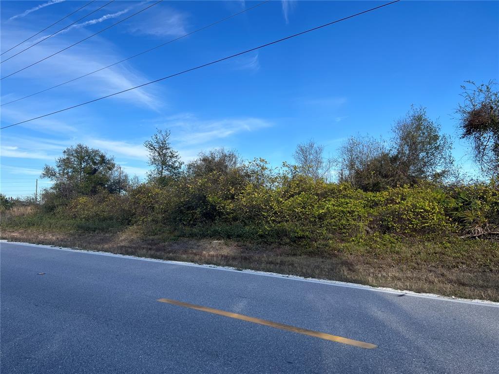 A paved road runs alongside a plot of land covered in dense, overgrown vegetation — 1434 SULSTONE DRIVE, PUNTA GORDA, FL