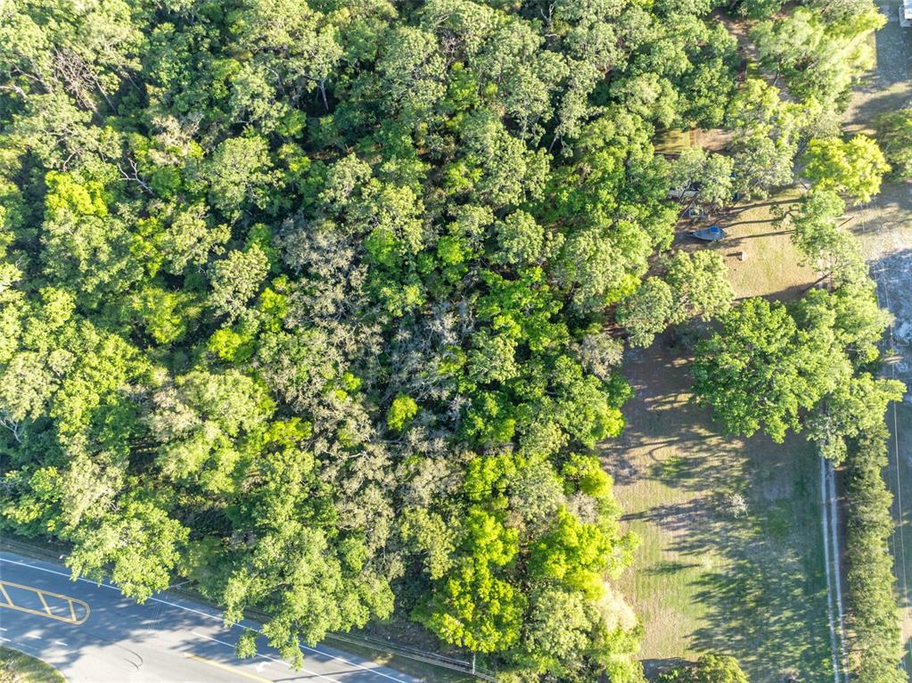 TBD COUNTY ROAD 48, YALAHA, FL — photo 4 of 10