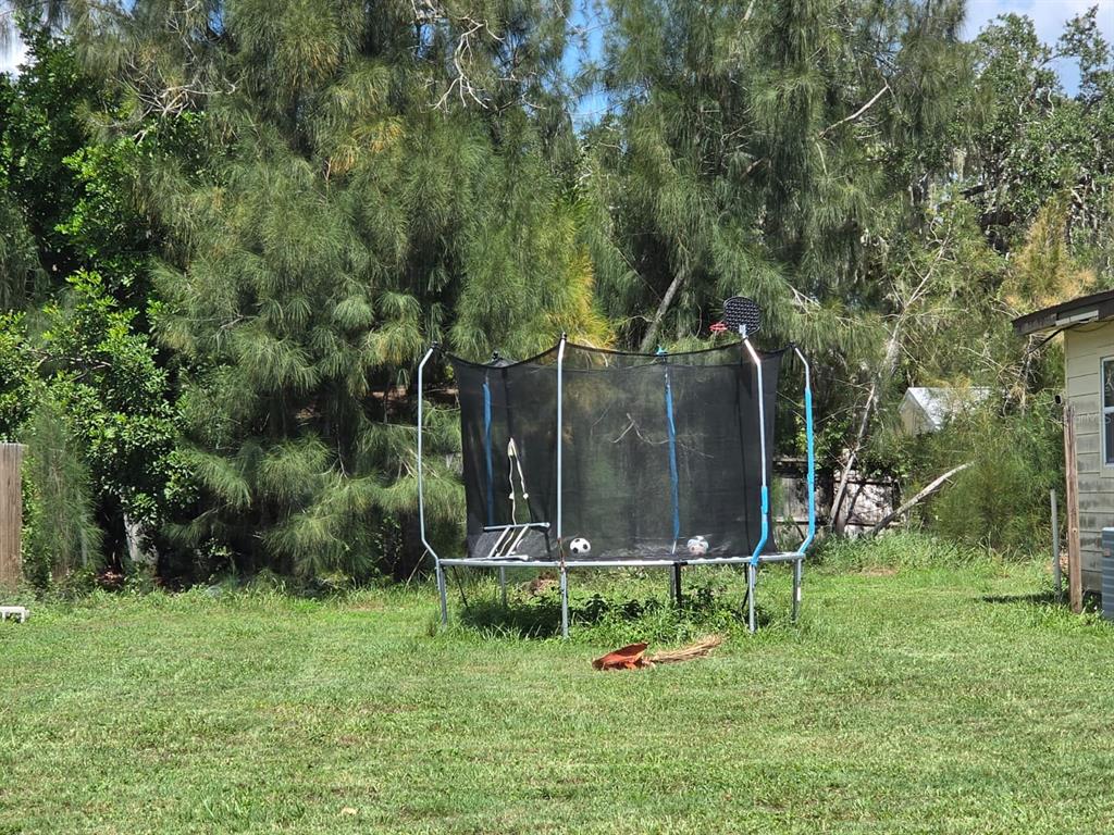 A backyard features a trampoline with a basketball hoop and two soccer balls inside — 1125 PATTISON AVENUE, SARASOTA, FL