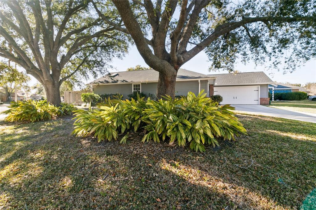 A single-story house with a large tree and variegated plants in the front yard — 6500 GROSVENOR LANE, ORLANDO, FL