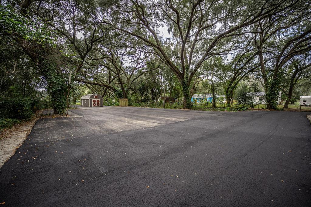 A large, paved asphalt driveway sits beneath a canopy of mature trees with a storage shed — 900 CLEVELAND AVENUE, WILDWOOD, FL