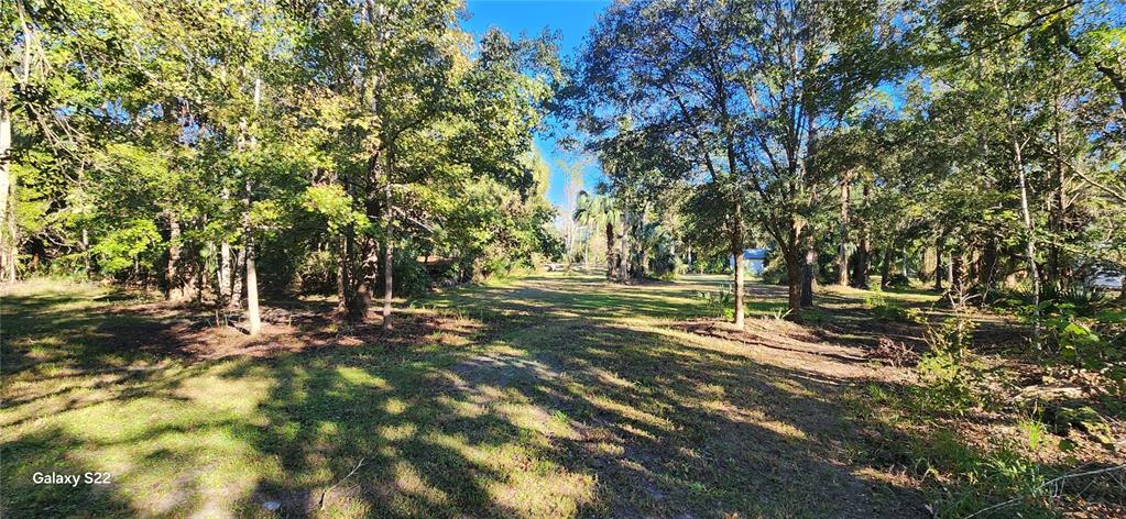 680 E BLACK POINT ROAD, BUNNELL, FL — photo 4 of 16