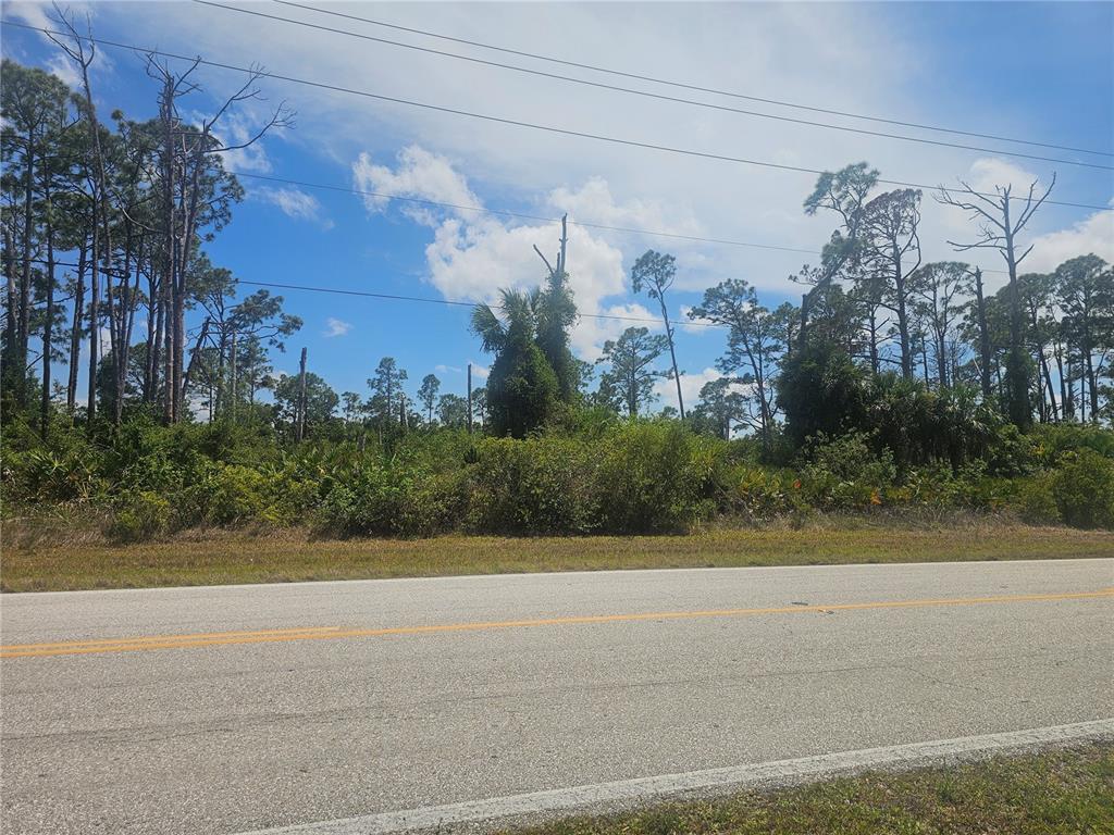 A view of a vacant, wooded lot bordering a paved road under a blue sky — 2649 JACOBS STREET, PORT CHARLOTTE, FL