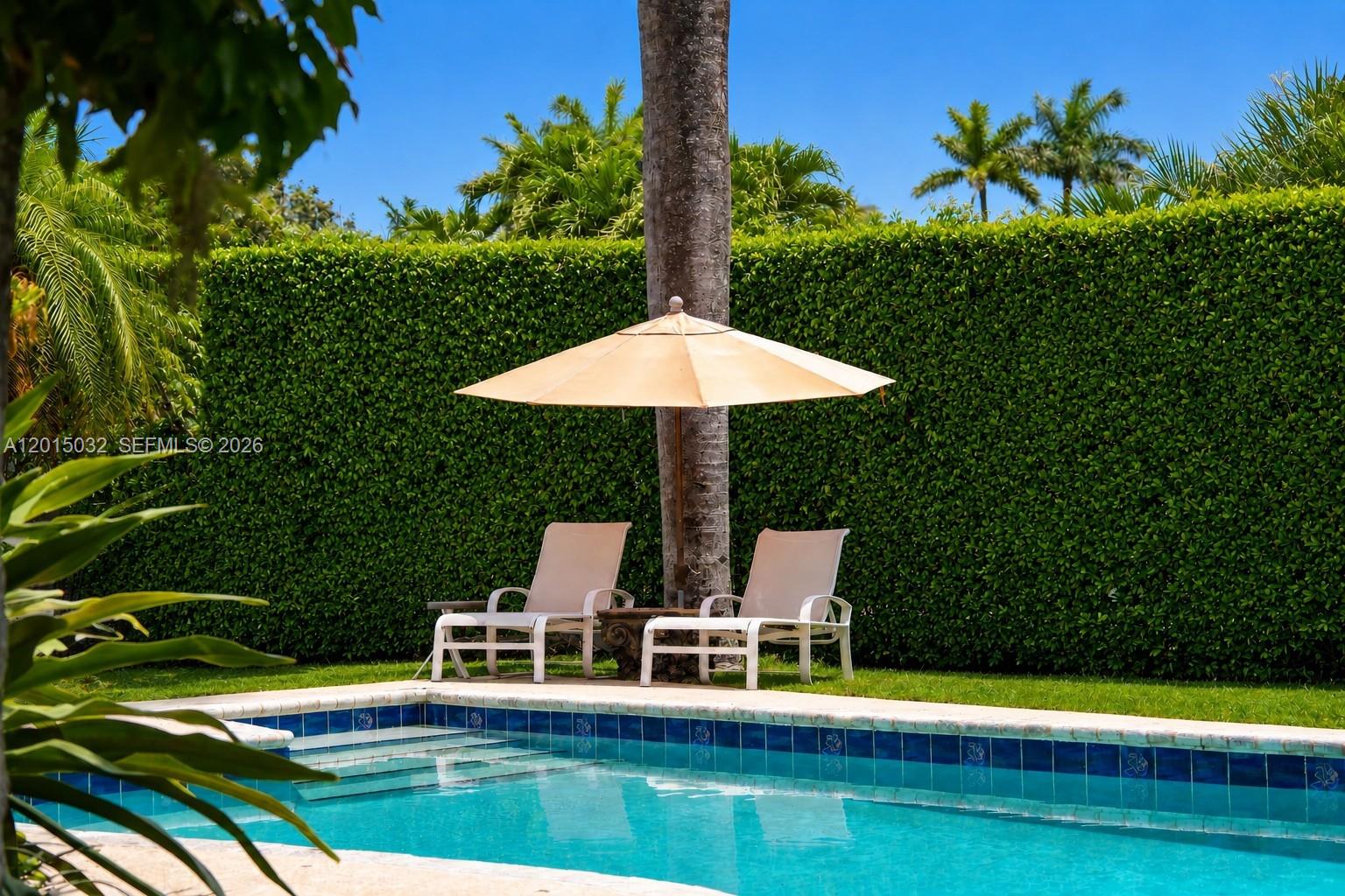 Two lounge chairs sit under a patio umbrella beside a swimming pool with a hedge — 363 S Hibiscus Dr, Miami Beach FL 33139, MIAMI BEACH, FL