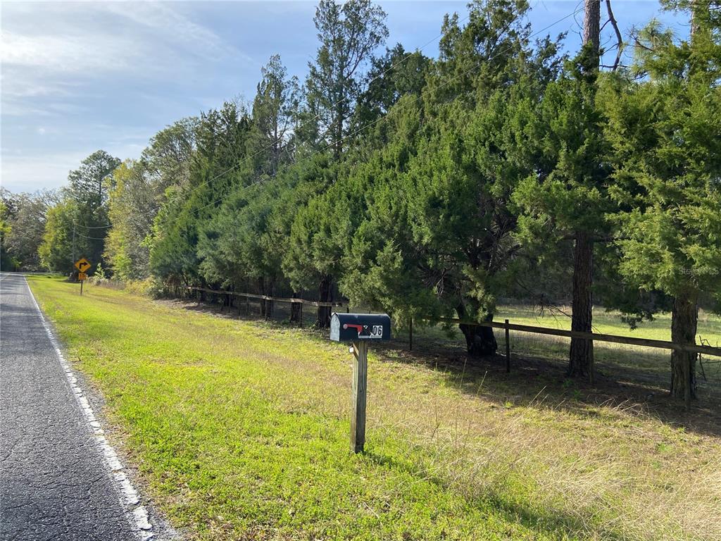 A rural roadside view featuring a mailbox, a wooden fence, and a line of evergreen trees — 23206 NW 102 ND AVENUE, ALACHUA, FL