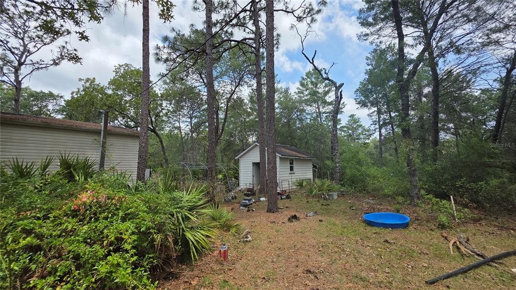 A small shed sits in a wooded backyard next to a house with beige siding — 5719 W STOCKHOLM LANE, DUNNELLON, FL