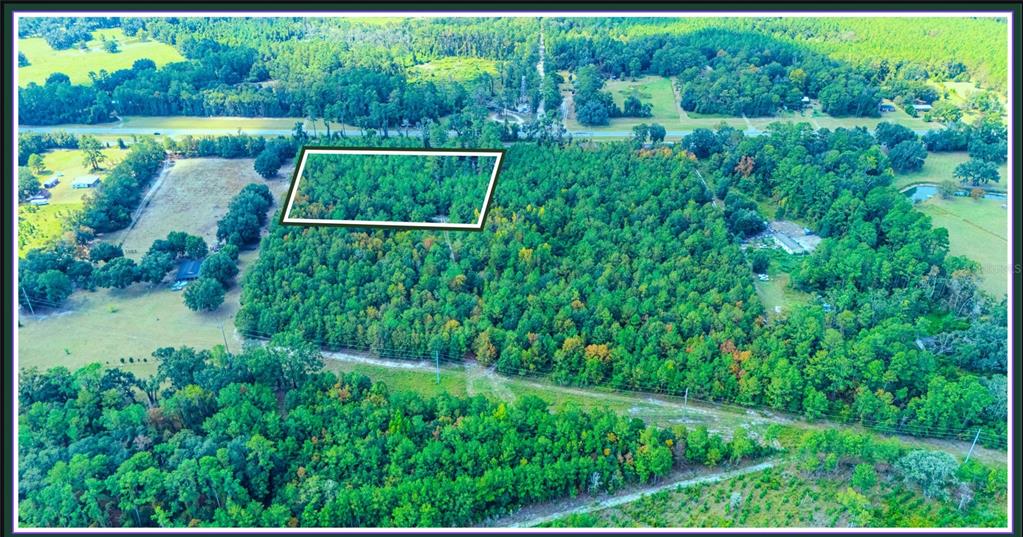 An aerial view shows a rectangular plot of land outlined in white amidst dense forest — TBD LOT 36 SE US 41 HWY, WHITE SPRINGS, FL