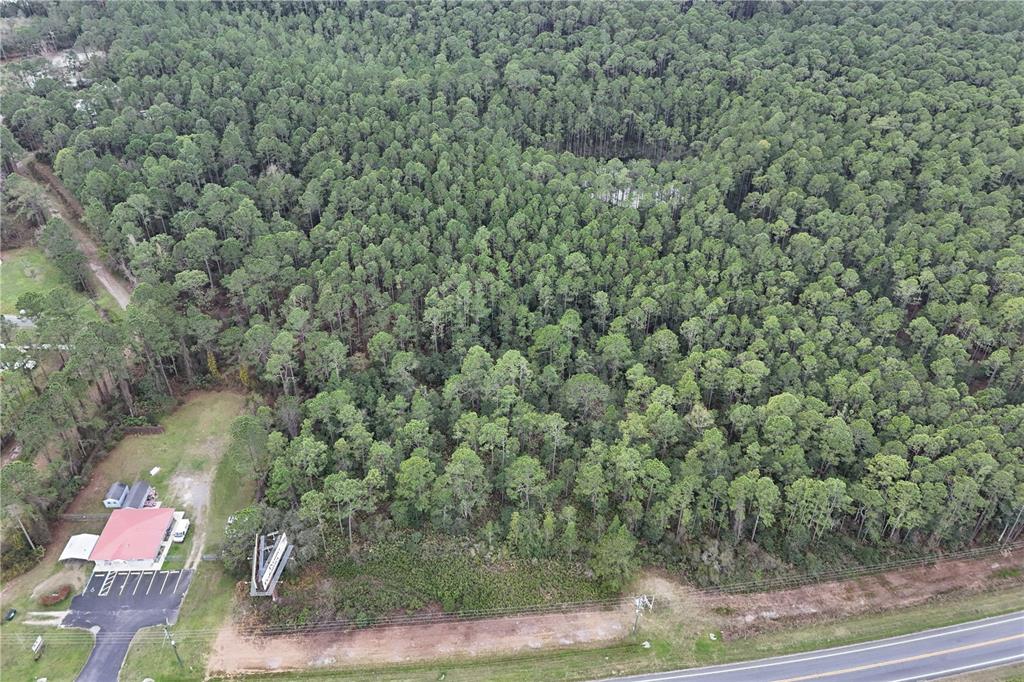 An aerial view shows a wooded lot adjacent to a small building and a road — 12260 E HWY 40, SILVER SPRINGS, FL