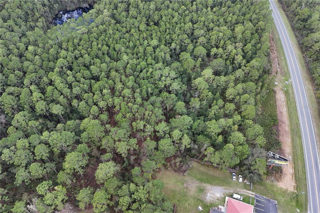 An aerial view shows a dense forest bordering a paved road and a small building — 12260 E HWY 40, SILVER SPRINGS, FL
