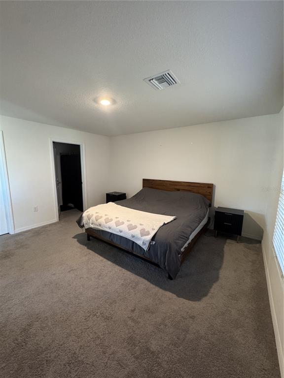 A bedroom features a bed with a dark gray comforter, two nightstands, and gray carpeting — 4234 AUTUMN FOG COURT, PALMETTO, FL