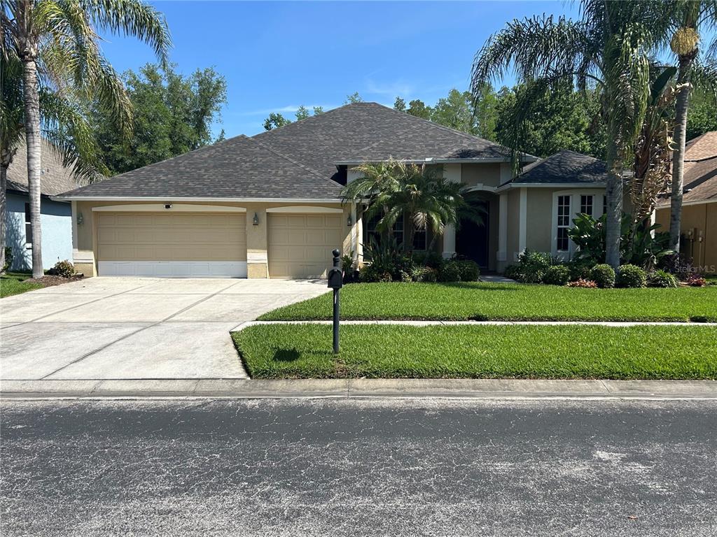 A single-story house with a two-car garage, a concrete driveway, and palm trees — 26612 SHOREGRASS DRIVE, WESLEY CHAPEL, FL