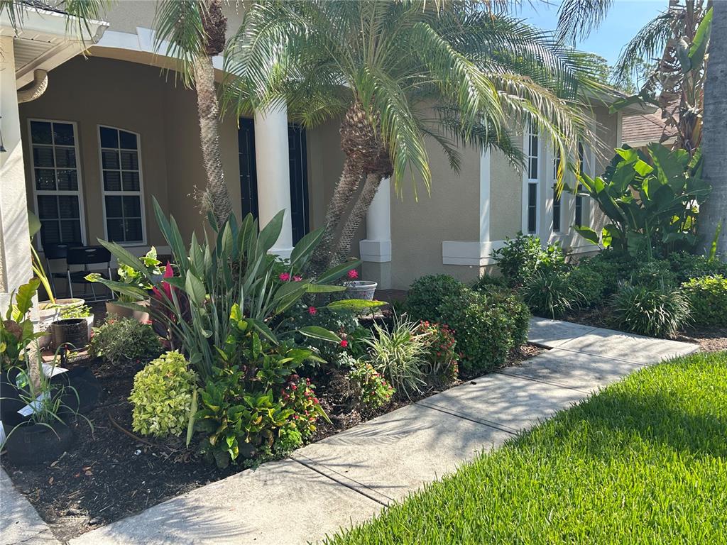 A tan house exterior features a covered entryway, white columns, and lush landscaping along a walkway — 26612 SHOREGRASS DRIVE, WESLEY CHAPEL, FL