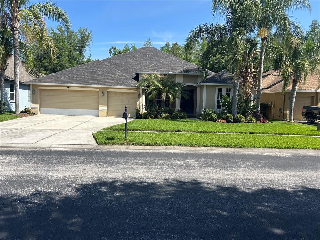 A single-story suburban house with a two-car garage, palm trees, and a manicured lawn — 26612 SHOREGRASS DRIVE, WESLEY CHAPEL, FL